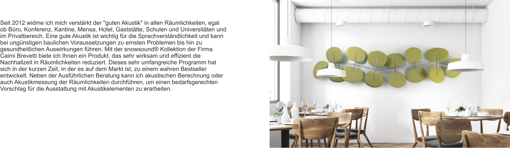 Seit 2012 widme ich mich verstärkt der "guten Akustik" in allen Räumlichkeiten, egal ob Büro, Konferenz, Kantine, Mensa, Hotel, Gaststätte, Schulen und Universitäten und im Privatbereich. Eine gute Akustik ist wichtig für die Sprachverständlichkeit und kann bei ungünstigen baulichen Voraussetzungen zu ernsten Problemen bis hin zu gesundheitlichen Auswirkungen führen. Mit der snowsound® Kollektion der Firma Caimi Brevetti biete ich Ihnen ein Produkt, das sehr wirksam und effizient die Nachhallzeit in Räumlichkeiten reduziert. Dieses sehr umfangreiche Programm hat sich in der kurzen Zeit, in der es auf dem Markt ist, zu einem wahren Bestseller entwickelt. Neben der Ausführlichen Beratung kann ich akustischen Berechnung oder auch Akustikmessung der Räumlichkeiten durchführen, um einen bedarfsgerechten Vorschlag für die Ausstattung mit Akustikelementen zu erarbeiten.